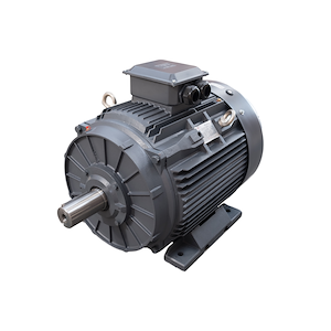 گرند موتور ( معصومی ) وارد کننده الکتروموتور Dutchi داچی موتور